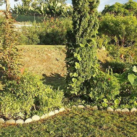 Rochas Shared Apart Garden Refuge Funchal  Exterior foto